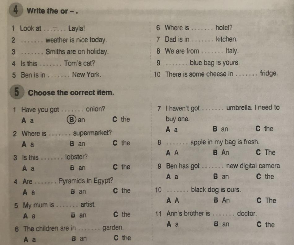 Write the correct item. Choose the correct item have you got onion. Round up choose the correct item 11 упражнение. Write the or look at Layla. Выбери правильный вариант a b или с have you got an onion.